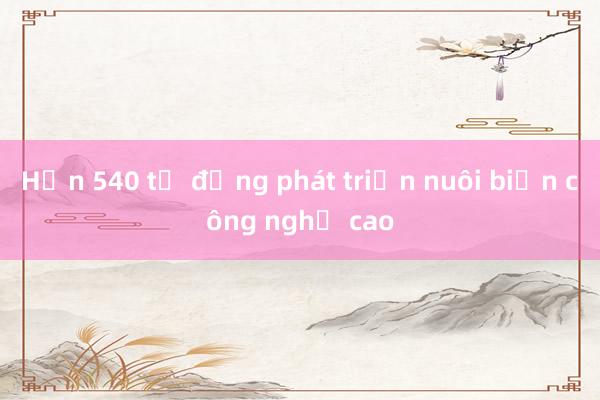 Hơn 540 tỷ đồng phát triển nuôi biển công nghệ cao