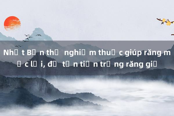 Nhật Bản thử nghiệm thuốc giúp răng mọc lại, đỡ tốn tiền trồng răng giả