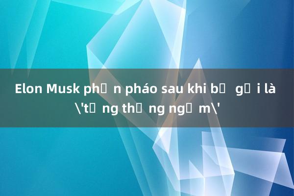 Elon Musk phản pháo sau khi bị gọi là 'tổng thống ngầm'